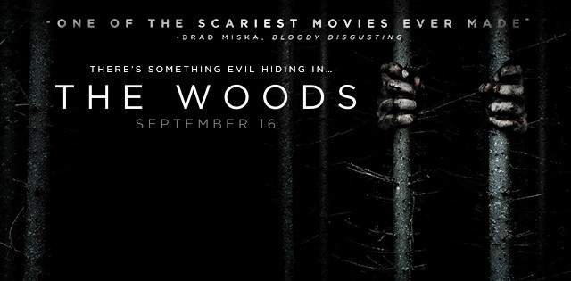 The-Woods-banner.jpg